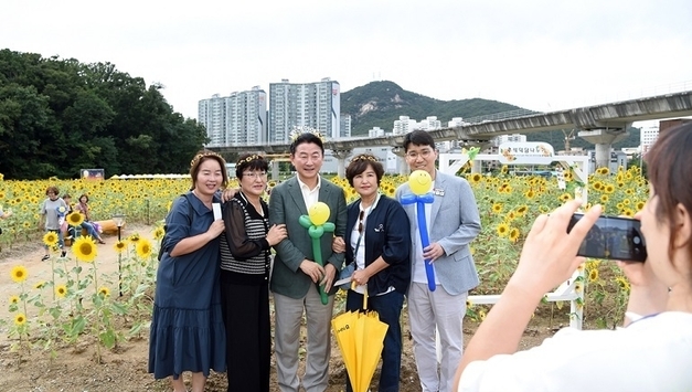 '해바라기 꽃이 활짝'...의정부시 신곡 달빛물든 해바라기 정원 개장
