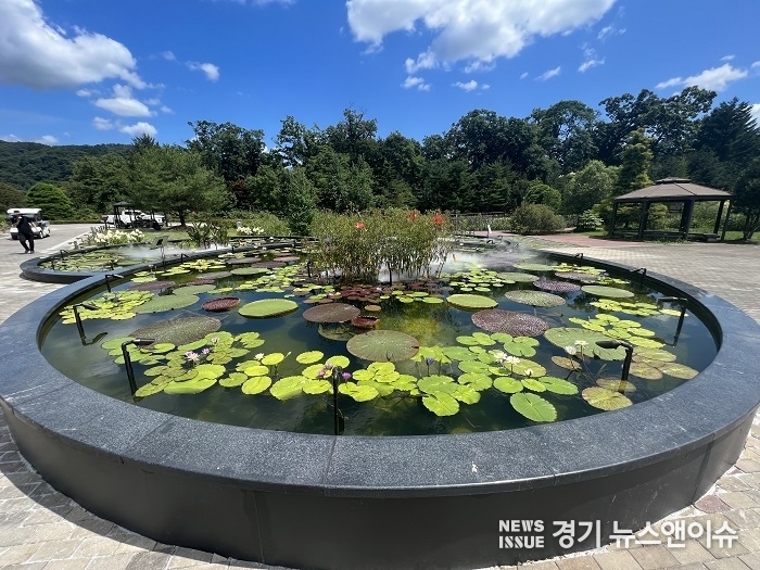 이번 특별전시에서 선보일 수련의 개화 모습. (국립수목원 제공)